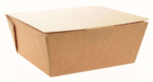 Food to go Box medium